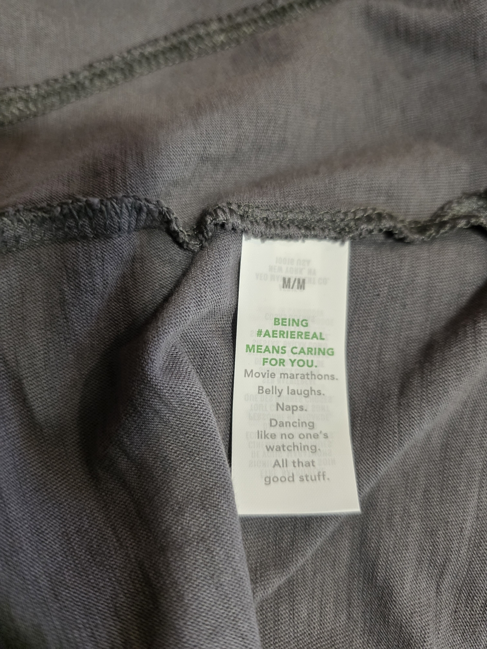 aerie NWT Charcoal Gray Graphic Short Sleeve Tee Boyfriend Boxy T White Tiger - Picture 12 of 14